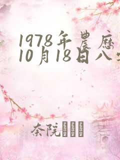1978年农历10月18日八字算命