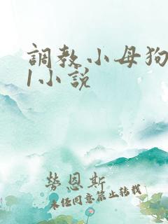 调教小母狗1v1小说