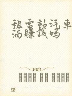 租电动汽车跑滴滴赚钱吗