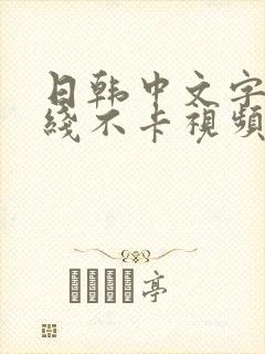 日韩中文字幕在线不卡视频