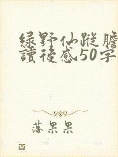 绿野仙踪胆小狮读后感50字