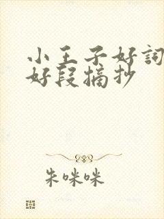 小王子好词好句好段摘抄