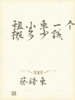 租小车一个月大概多少钱