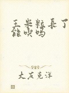 玉米粒长了小芽能吃吗 玉米粒长了小芽能吃吗