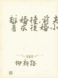 离婚后,前夫哭着求复婚小说正版 离婚后,前夫哭着求复婚小说正版