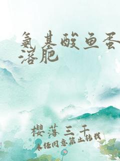 氨基酸鱼蛋白水溶肥 氨基酸鱼蛋白水溶肥
