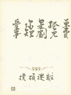 爱你是孤单的心事短剧免费观看