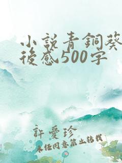 小说青铜葵花读后感500字