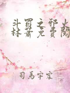 斗罗之邪火凤凰林萧免费阅读