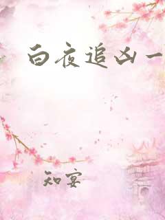 白夜追凶一 白夜追凶一