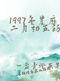 1997年农历二月初五的八字