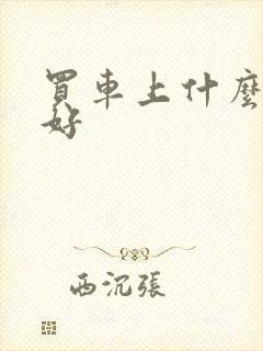 买车上什么网站好