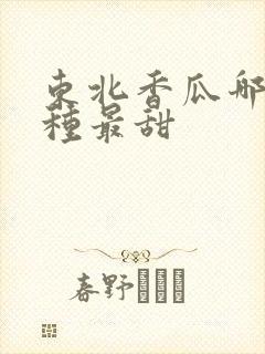 东北香瓜哪个品种最甜 东北香瓜哪个品种最甜