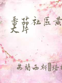 番茄社区黄性色大片