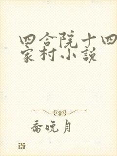 四合院十四岁秦家村小说