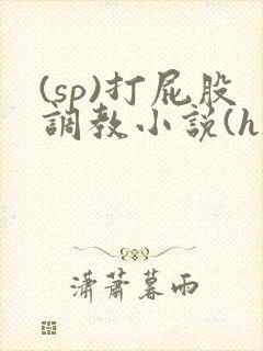 (sp)打屁股调教小说(h)