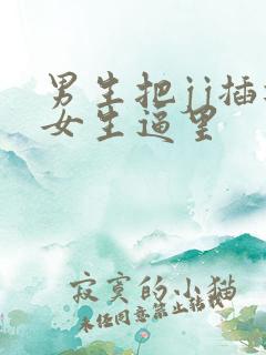 男生把jj插进女生逼里