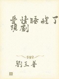 爱情睡醒了 电视剧