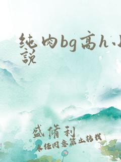 纯肉bg高h小说