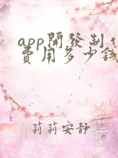 app开发制作费用多少钱