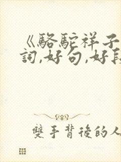 《骆驼祥子》好词,好句,好段