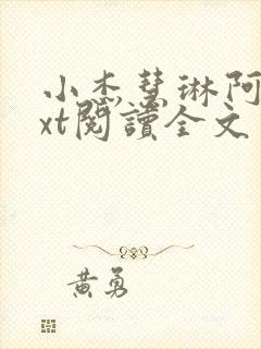 小杰慧琳阿姨txt阅读全文