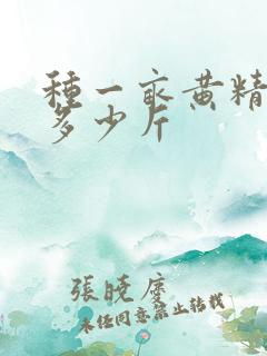 种一亩黄精收入多少斤