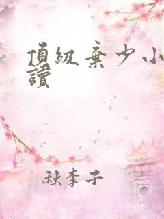 顶级弃少小说阅读