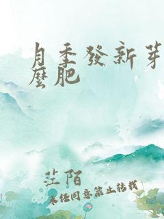 月季发新芽用什么肥