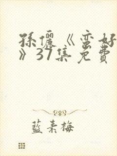 孙俪《蛮好人生》37集免费观看