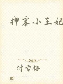 押寨小王妃