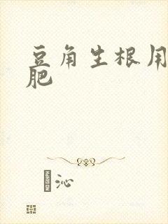 豆角生根用什么肥