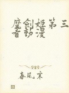 魔剑姬第三季观看动漫