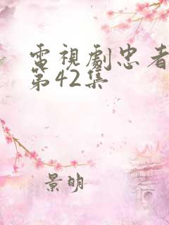 电视剧忠者无敌第42集