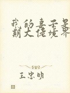 我的妻子是大乘期大佬境界 我的妻子是大乘期大佬境界