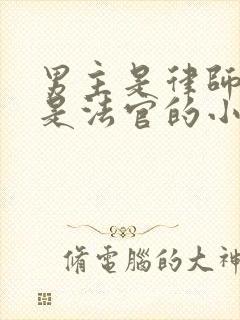 男主是律师女主是法官的小说