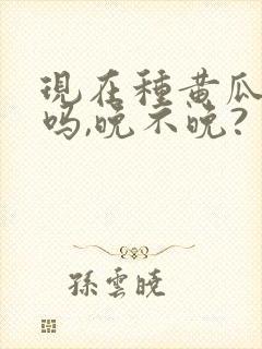 现在种黄瓜可以吗,晚不晚? 现在种黄瓜可以吗,晚不晚?