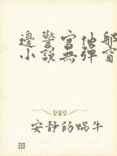 边警官他那么撩小说无弹窗