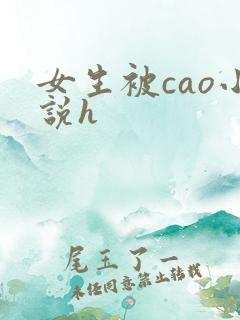 女生被cao小说h 女生被cao小说h