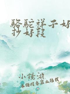 骆驼祥子好句摘抄好段
