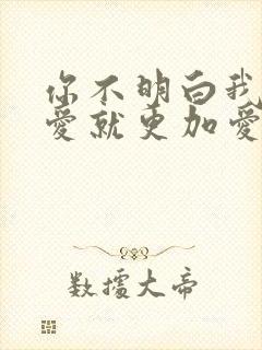 你不明白我说不爱就更加爱什么歌