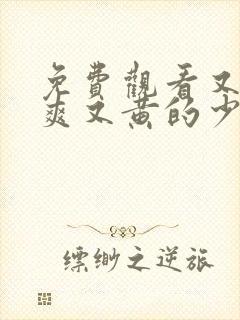 免费观看又色又爽又黄的少妇