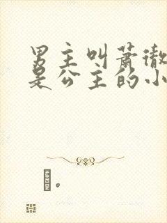男主叫萧彻女主是公主的小说