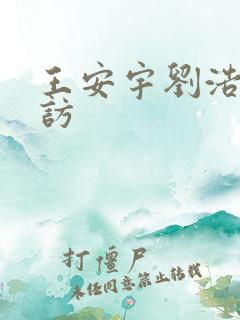 王安宇刘浩存采访
