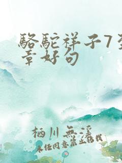 骆驼祥子7至9章好句