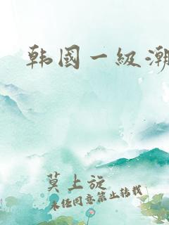 韩国一级潮喷片
