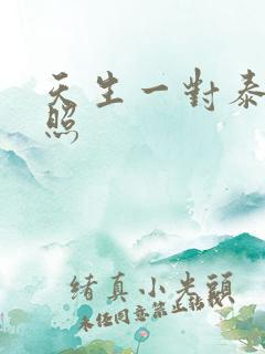 天生一对泰剧剧照
