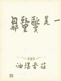 日韩欧美一级片哪里卖