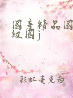 国产精品国产三级国j