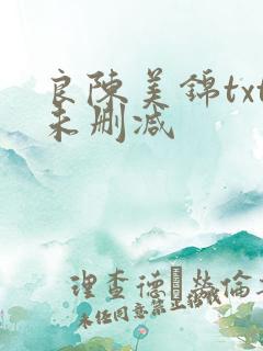 良陈美锦txt未删减